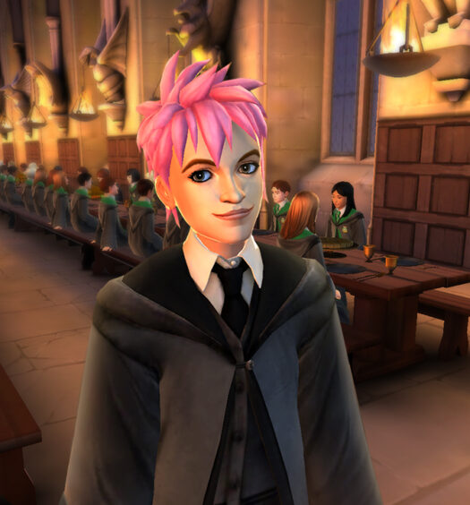 Hogwarts Mystery