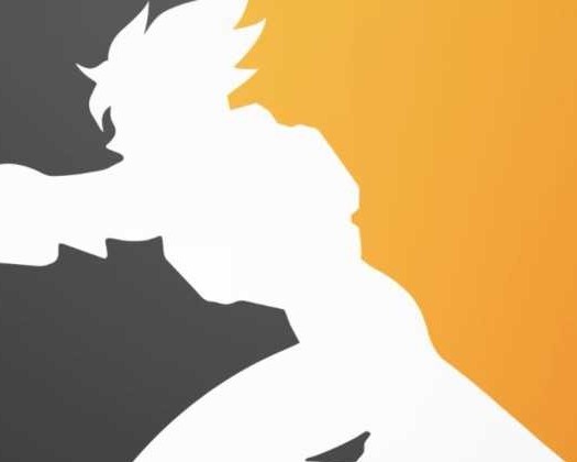 Overwatch League-Overwatch League para