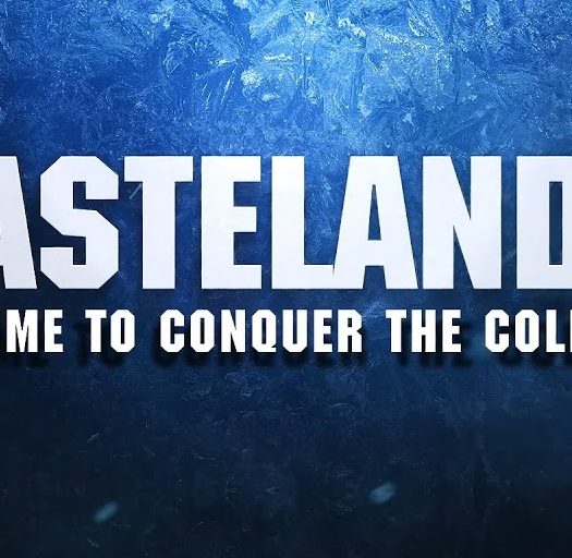 Wasteland 3-UH