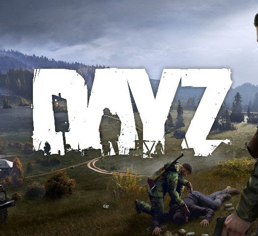 DayZ-Formato-Fisico