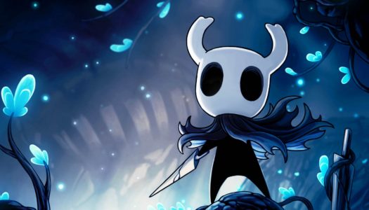 Hollow Knight