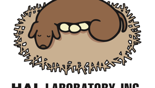 Retrospectiva por el 40º aniversario de HAL Laboratory