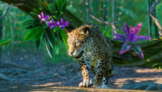 Planet Zoo: South America Pack 