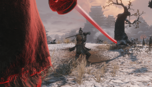 La importancia de una comunidad dedicada: hoy, turno para Sekiro