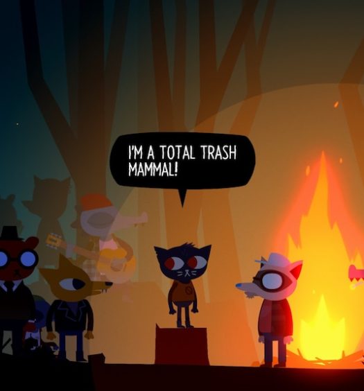 Night in the woods