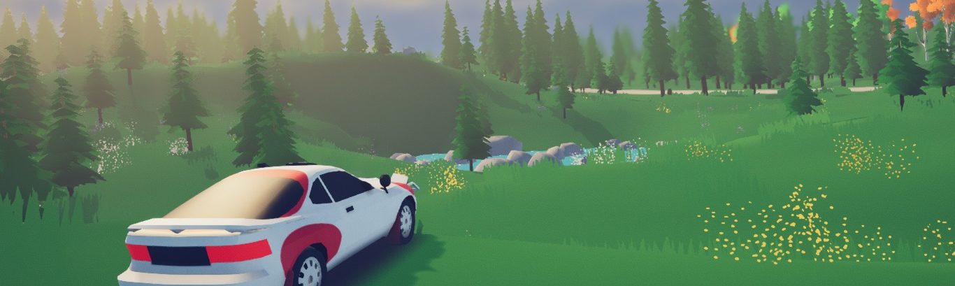Art of rally