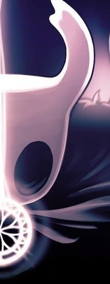 hollow knight