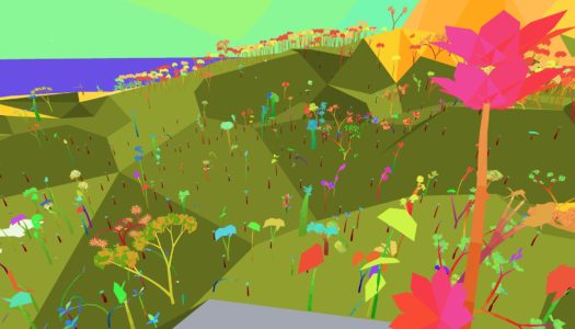 World Land Trust Bundle y la conservación de la naturaleza