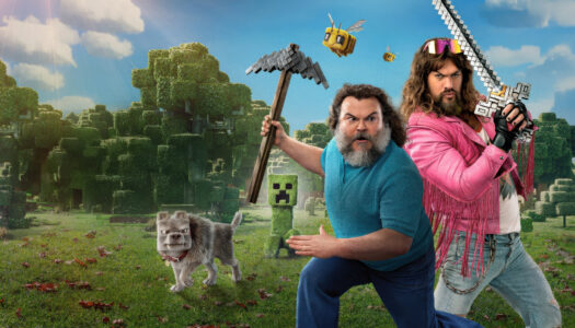 Minecraft: Cine al cubo