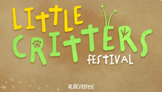 Perennial Order y Petit Island llegan al Little Critters Festival de Steam