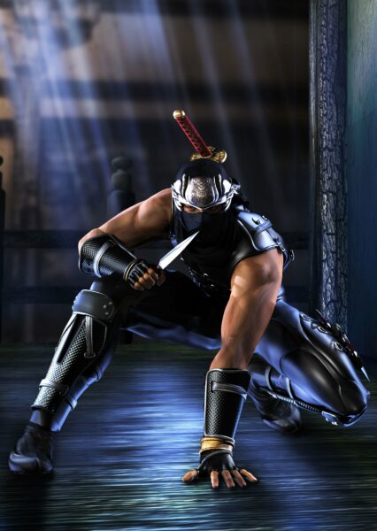 Ninja Gaiden 2004