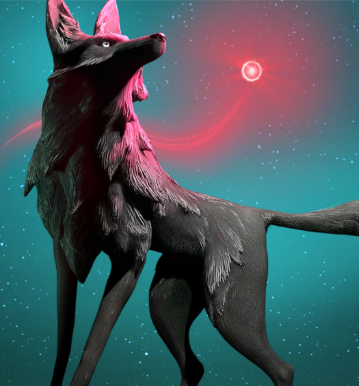 Lost Ember Portada