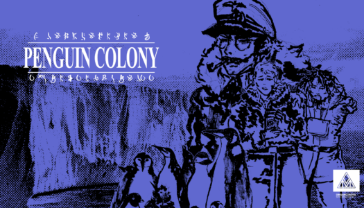 Penguin Colony